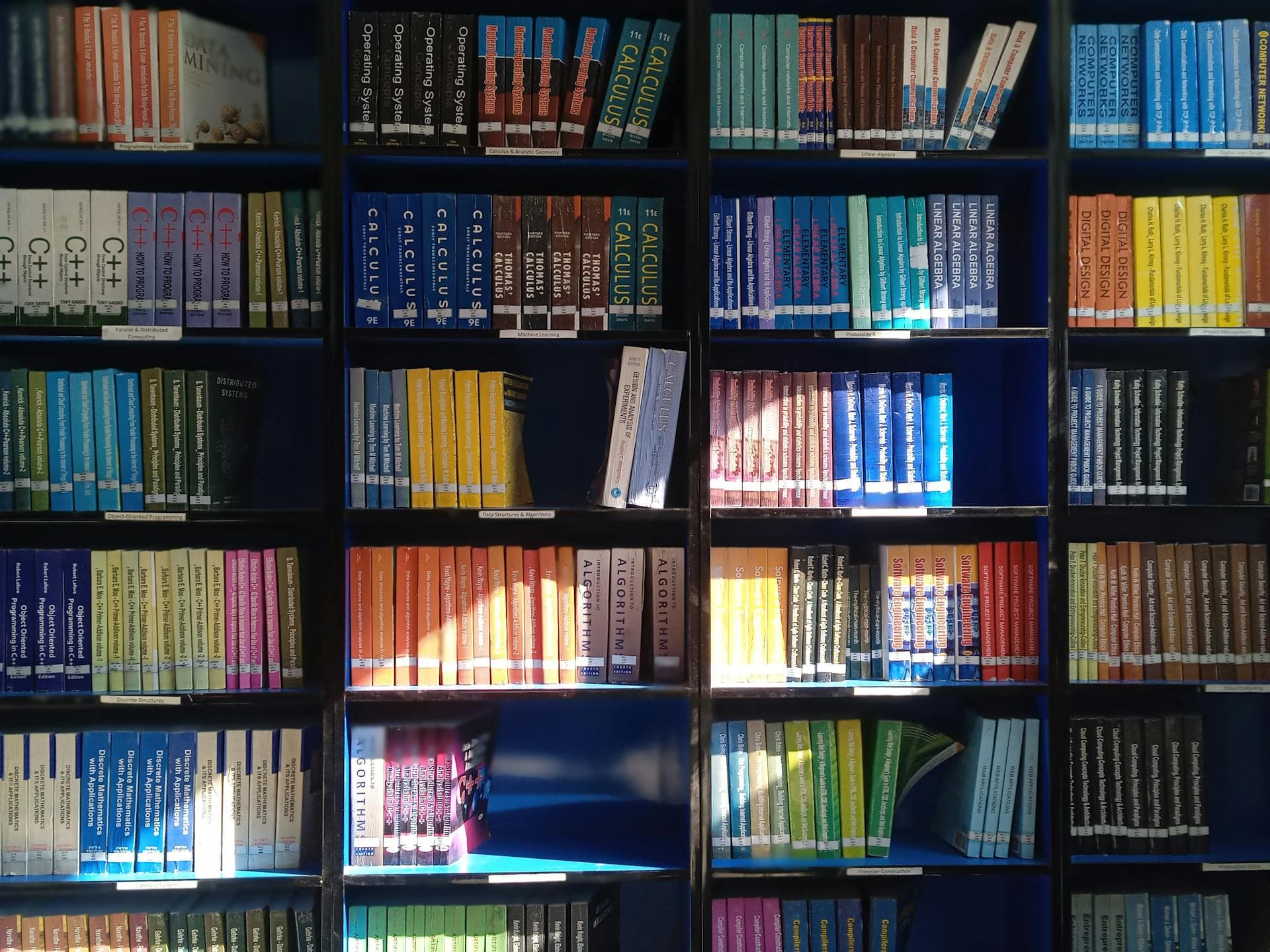 UK board game shopping guide showing online retailers, physical stores, and British-designed games