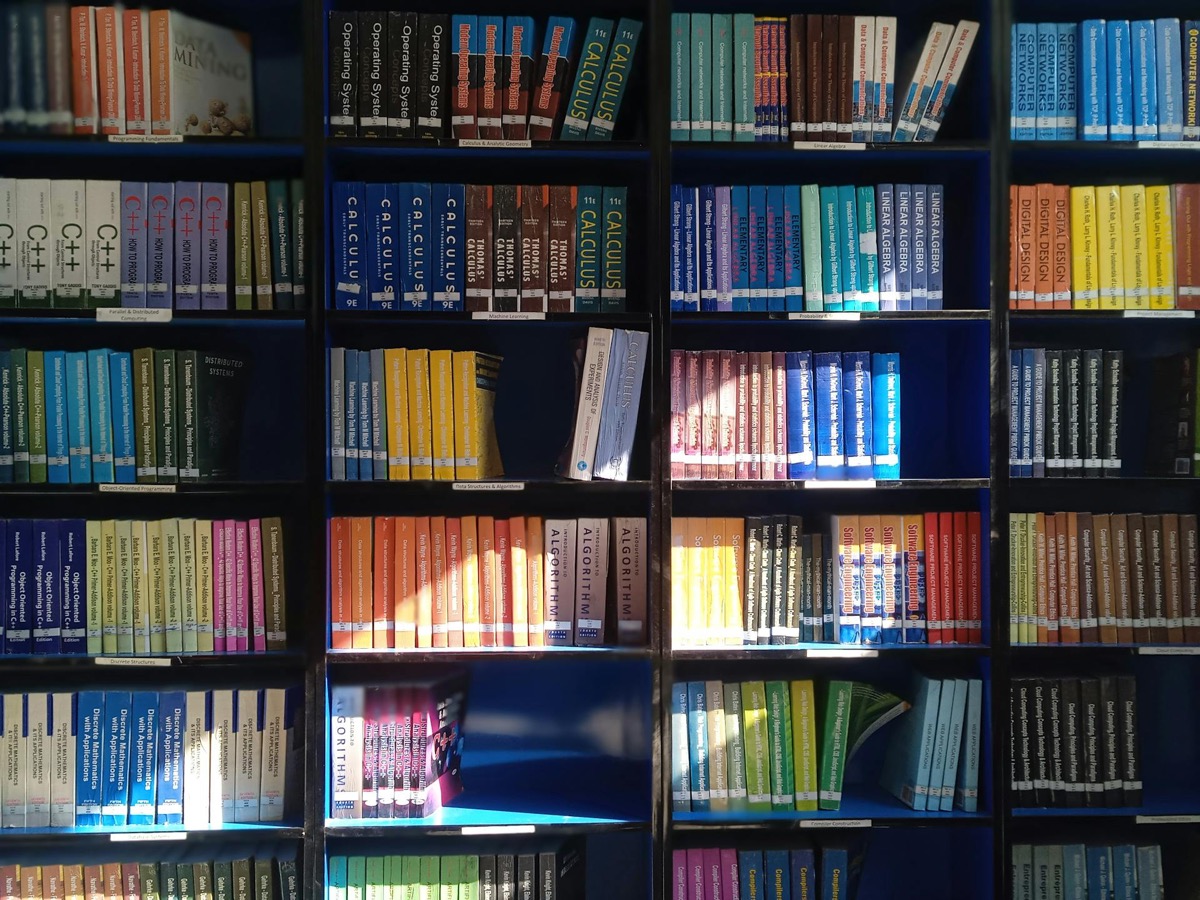 UK board game shopping guide showing online retailers, physical stores, and British-designed games