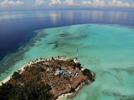 Data from 200+ games reveals which Smoothie Wars locations win most. Heat maps, turn-by-turn analysis &amp; pivot timing. For serious players.